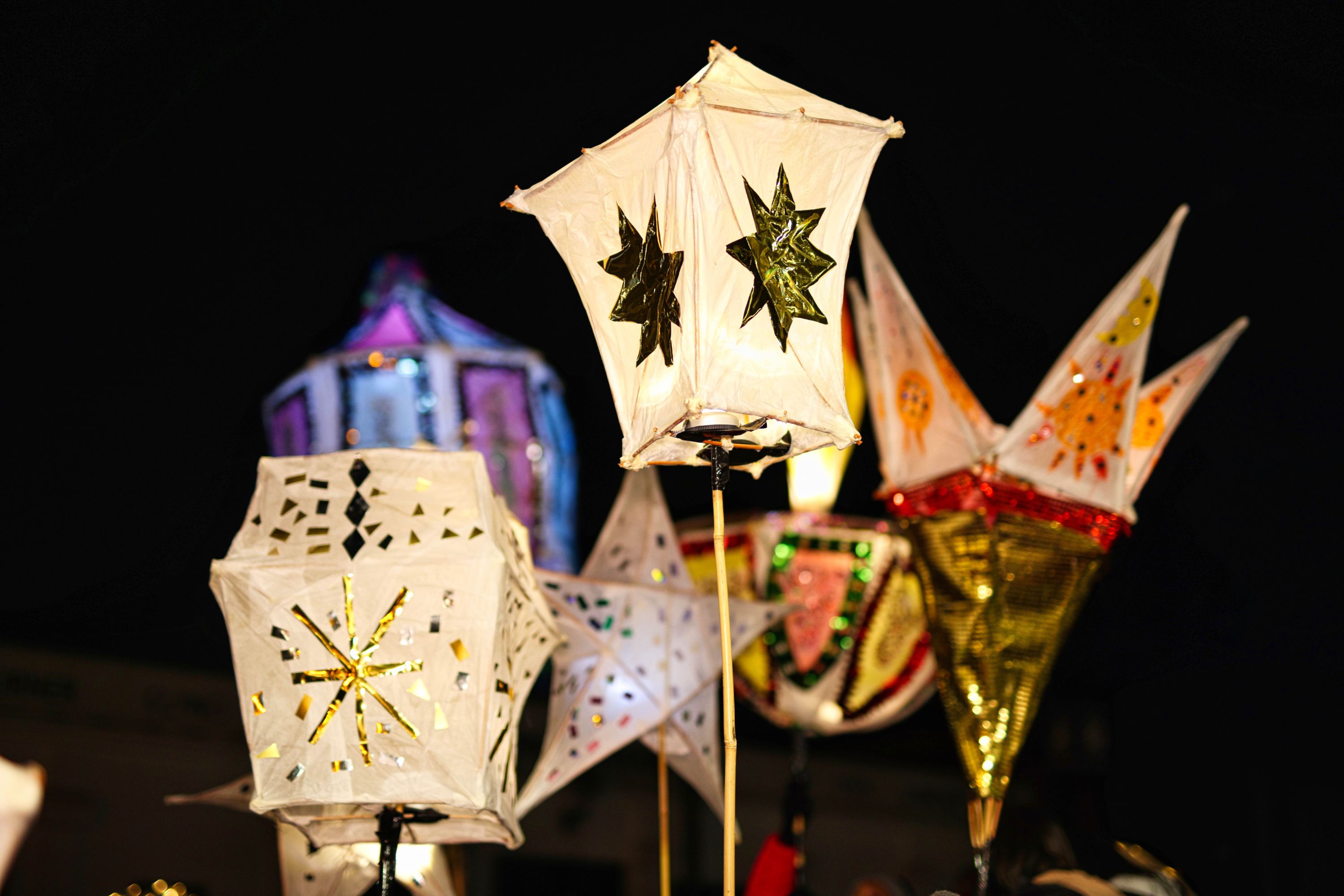 DL7A7244 (1) (Std Web Size)