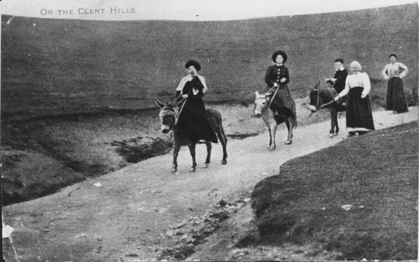 1997 028 3612 Donkeys Clent